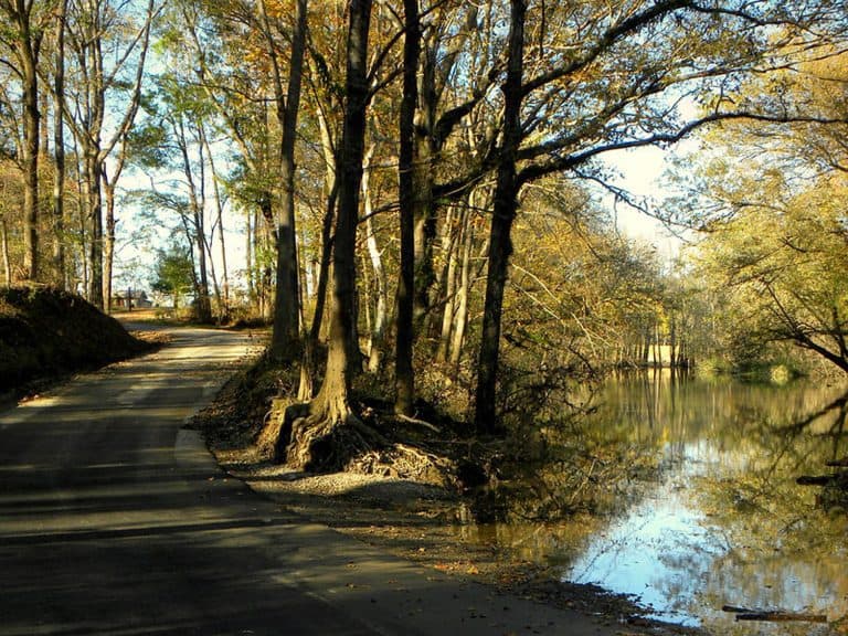 Haskell Uber Accident Lawyer